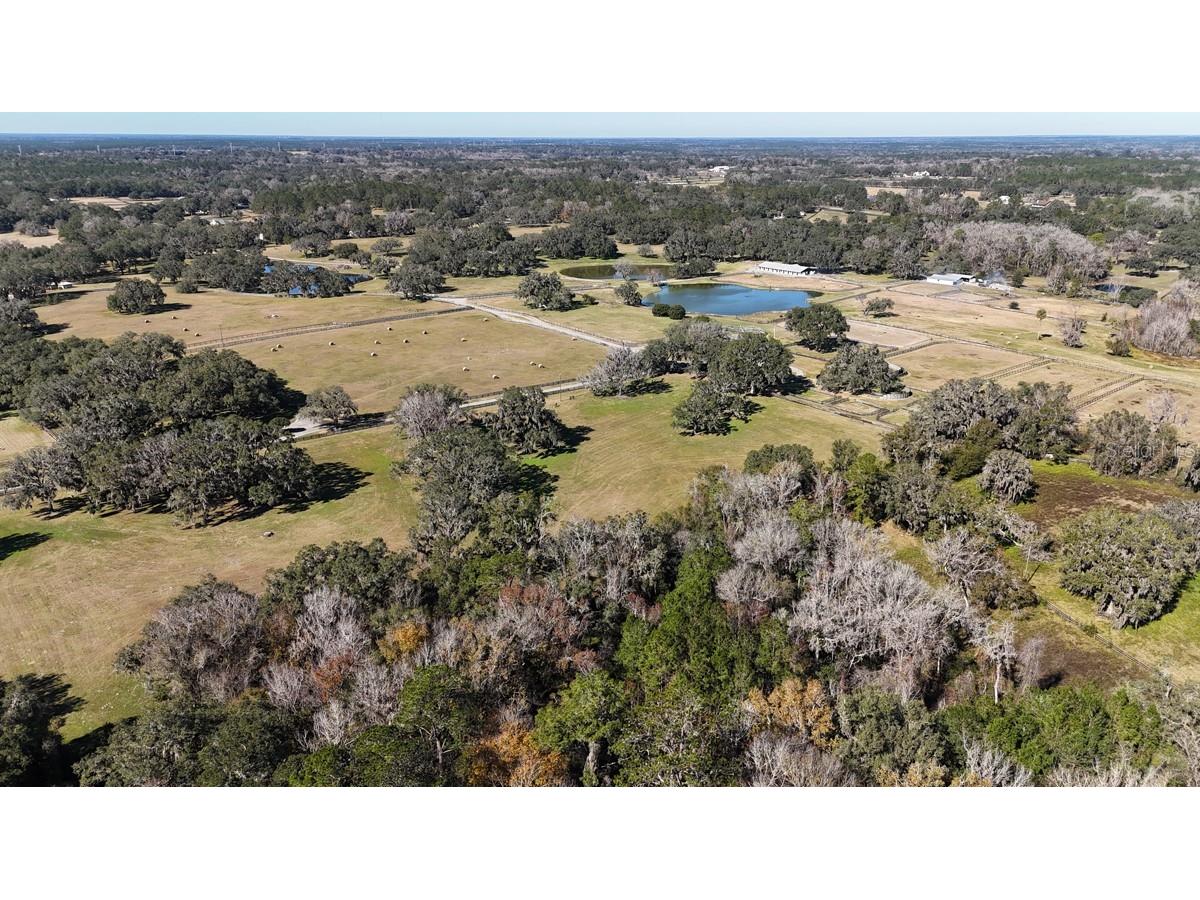 12853 NW 90th Avenue Reddick FL 32686 OM692861 image69