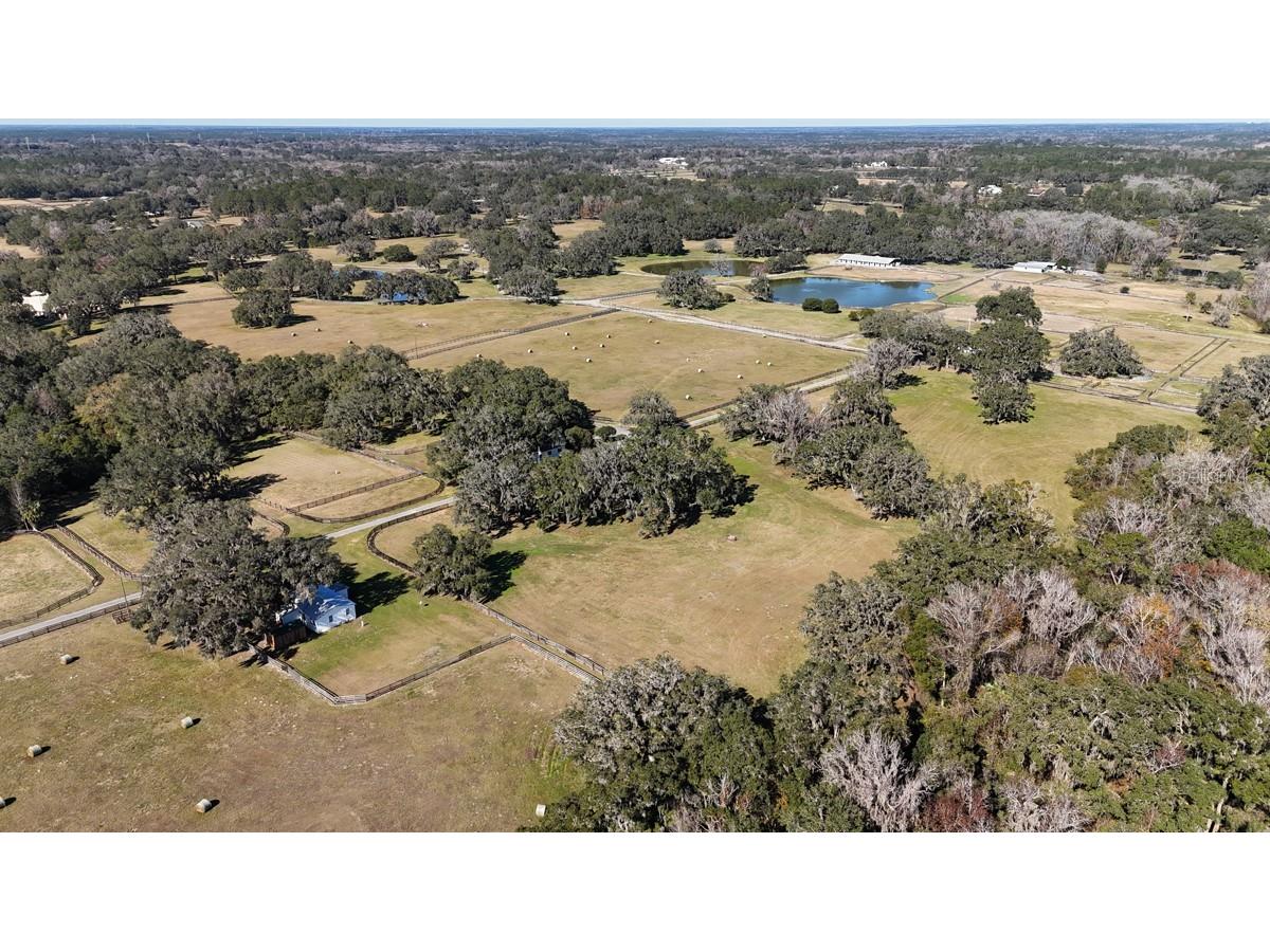 12853 NW 90th Avenue Reddick FL 32686 OM692861 image70