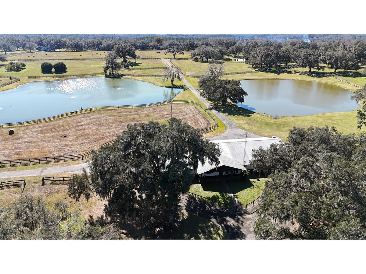 12853 NW 90th Avenue Reddick FL 32686 OM692861 image72