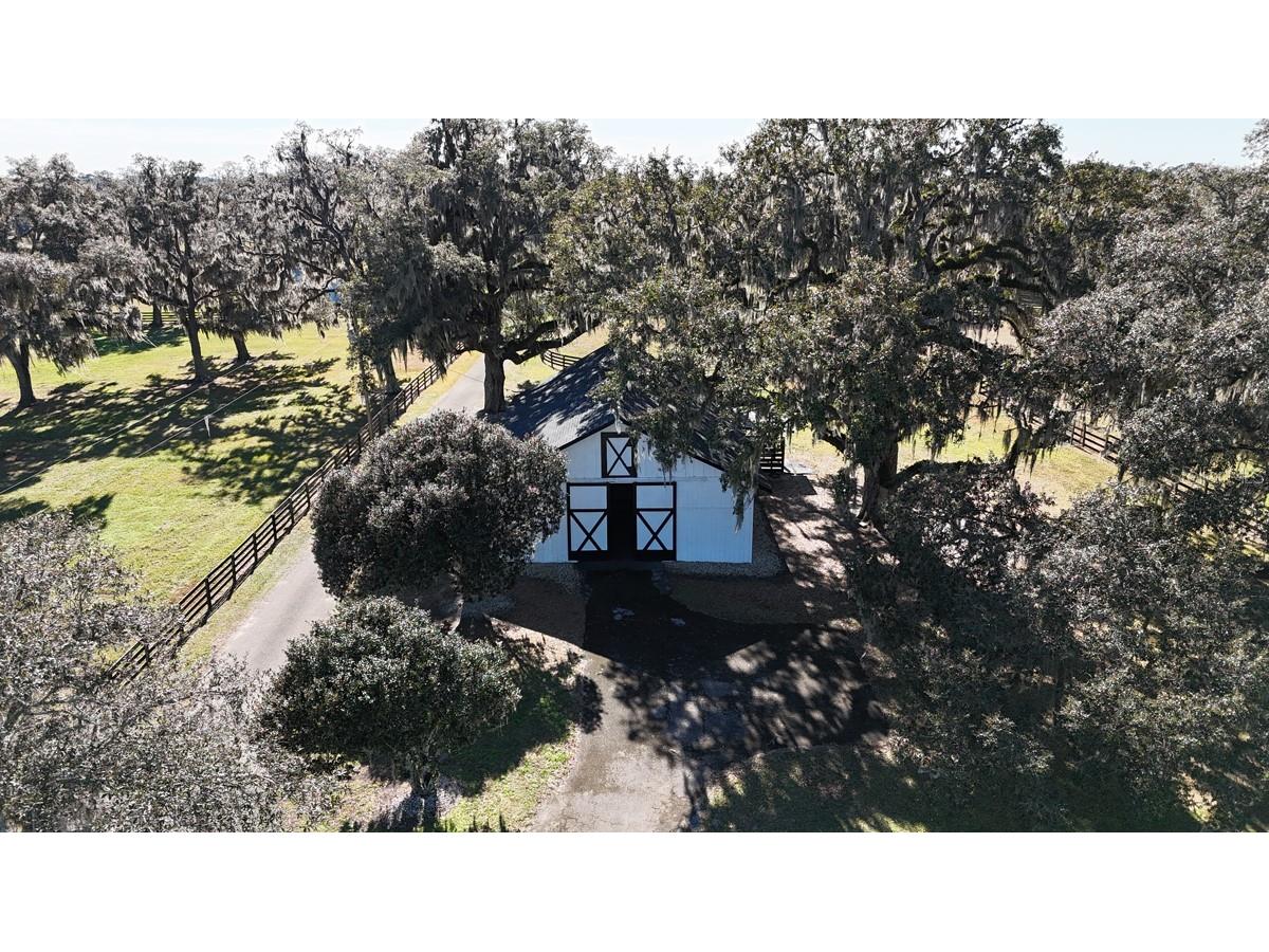 12853 NW 90th Avenue Reddick FL 32686 OM692861 image78