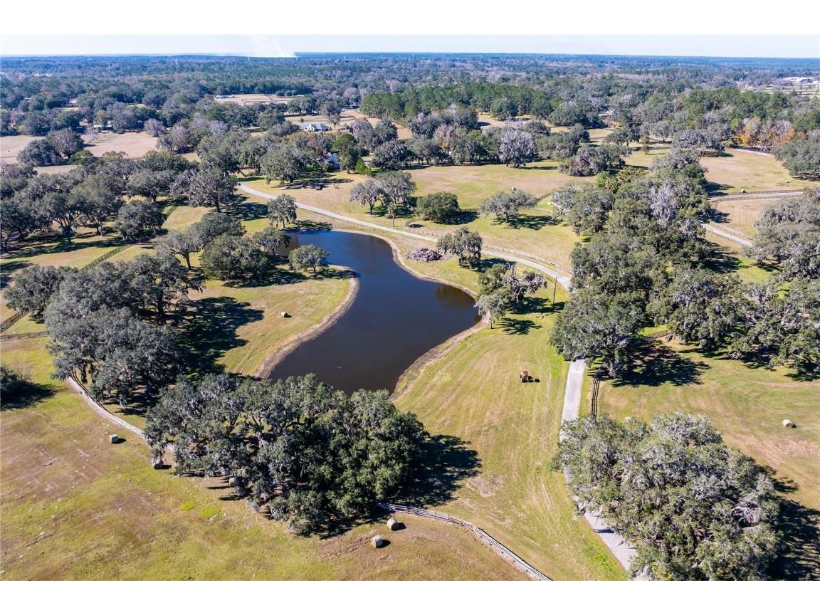 12853 NW 90th Avenue Reddick FL 32686 OM692861 image82