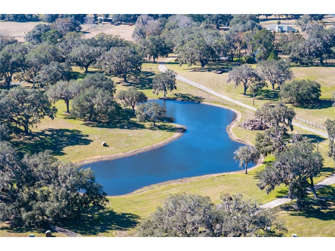 12853 NW 90th Avenue Reddick FL 32686 OM692861 image83