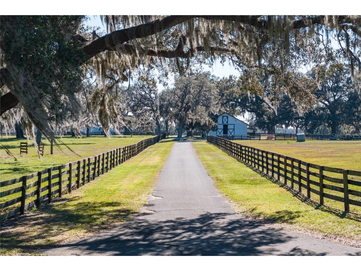 12853 NW 90th Avenue Reddick FL 32686 OM692861 image91