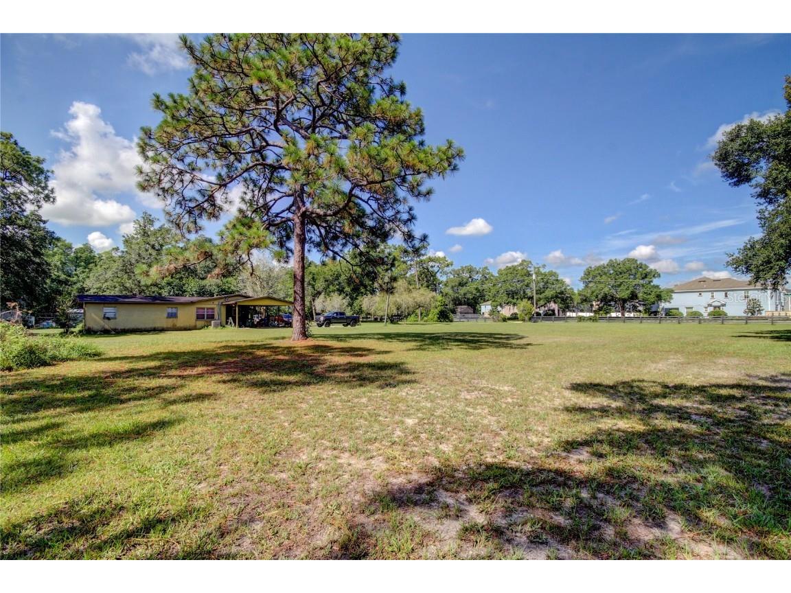 12853 Olive Jones Road Tampa FL 33625 T3416141 image11