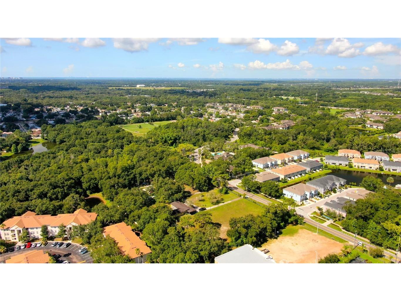 12853 Olive Jones Road Tampa FL 33625 T3416141 image12