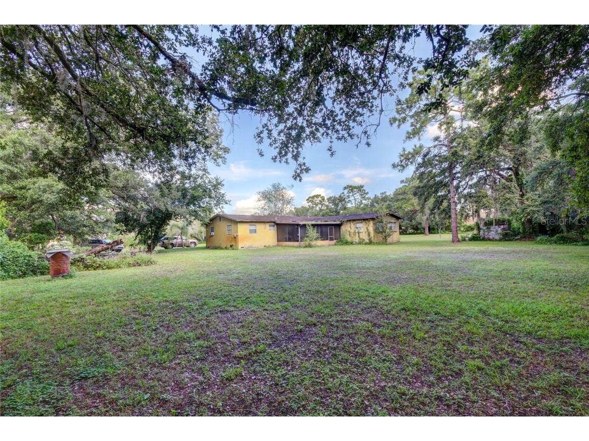 12853 Olive Jones Road Tampa FL 33625 T3416141 image17