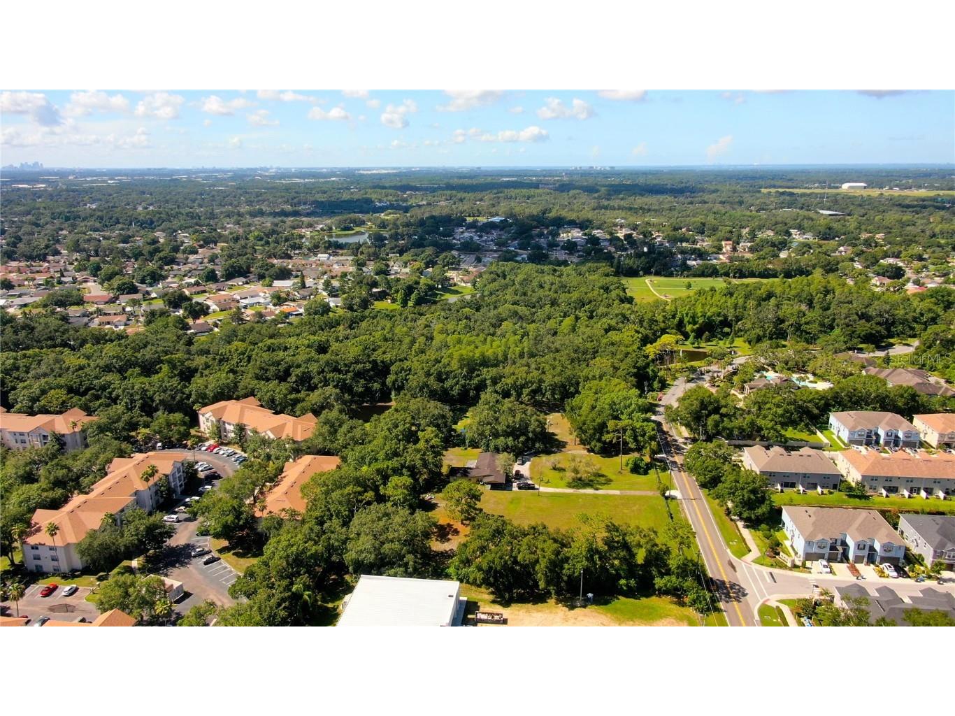 12853 Olive Jones Road Tampa FL 33625 T3416141 image19