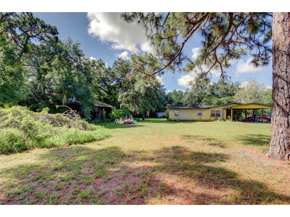 12853 Olive Jones Road Tampa FL 33625 T3416141 image20