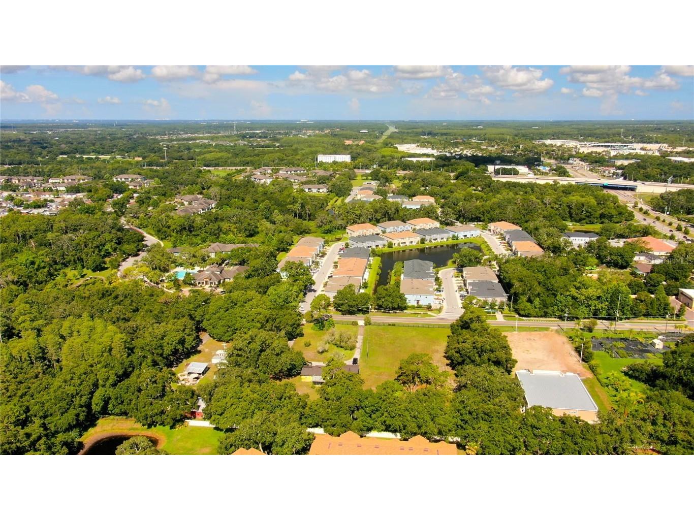 12853 Olive Jones Road Tampa FL 33625 T3416141 image21