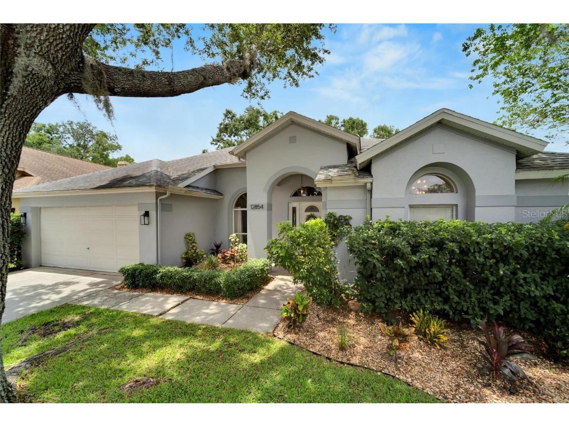 12854 Big Sur Drive Tampa FL 33625 T3451205 image1