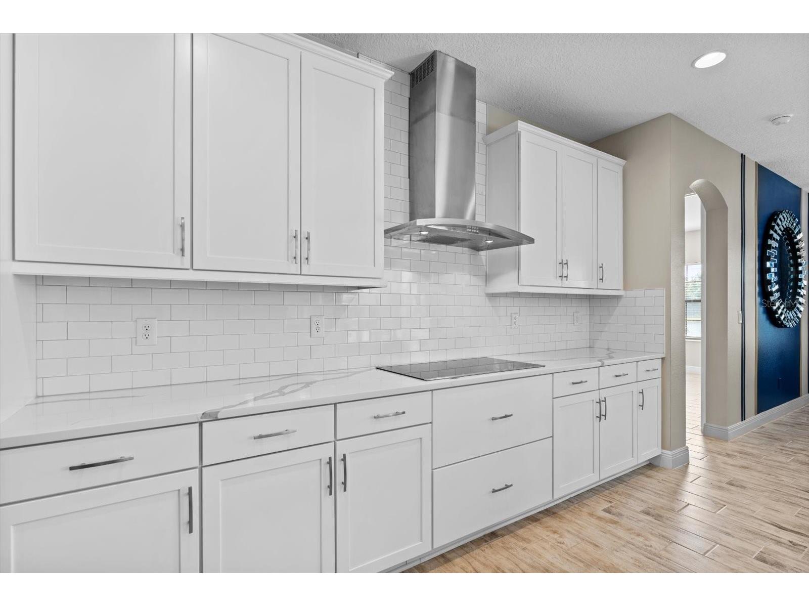 12854 Boggy Creek Drive Riverview FL 33579 TB8522799 image17