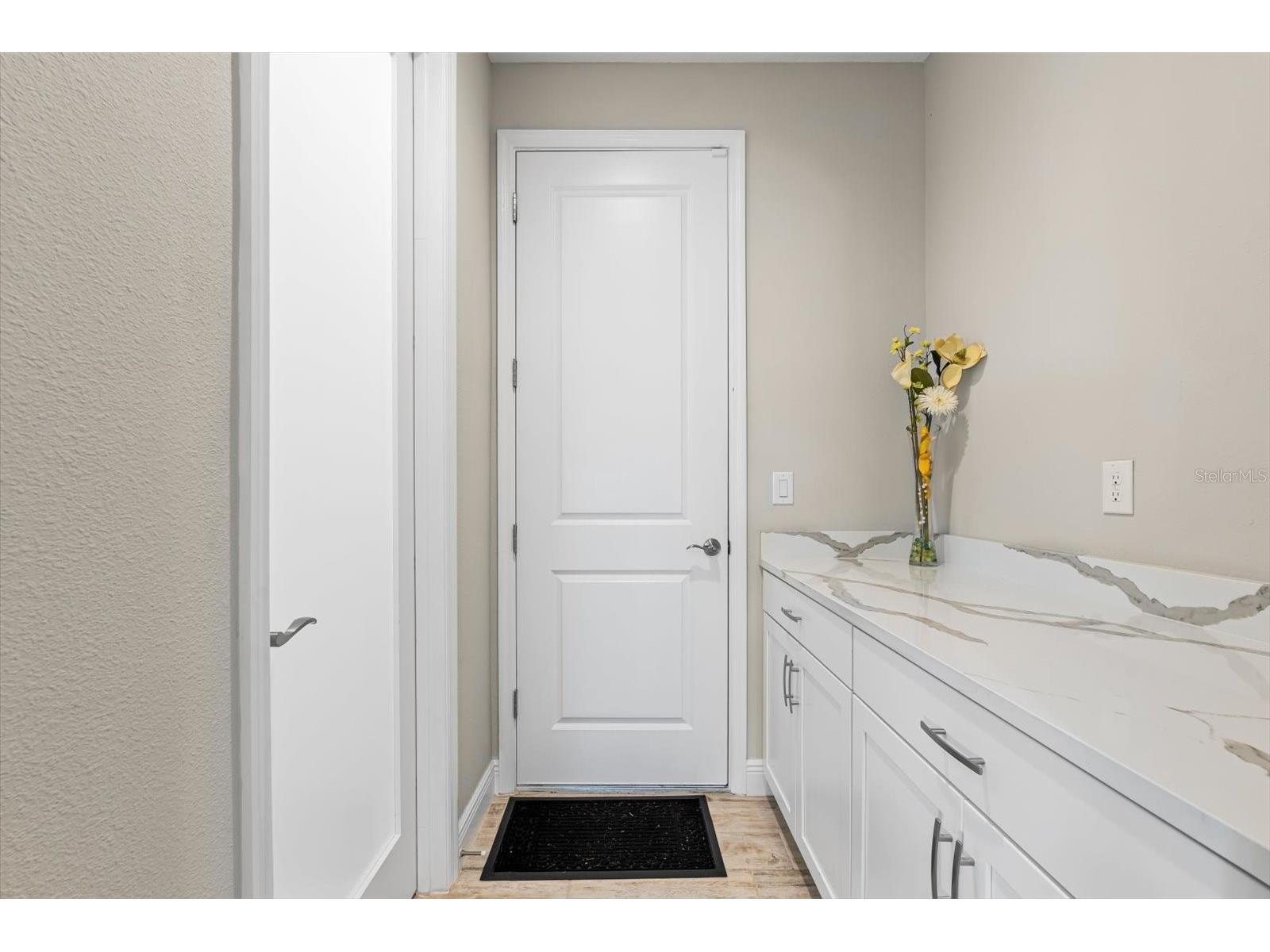 12854 Boggy Creek Drive Riverview FL 33579 TB8522799 image24