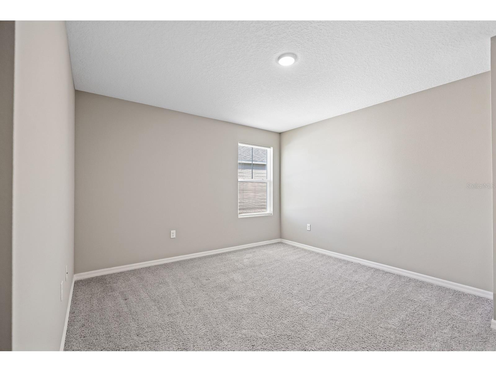 12857 Tannencrest Drive Riverview FL 33579 TB8440850 image25