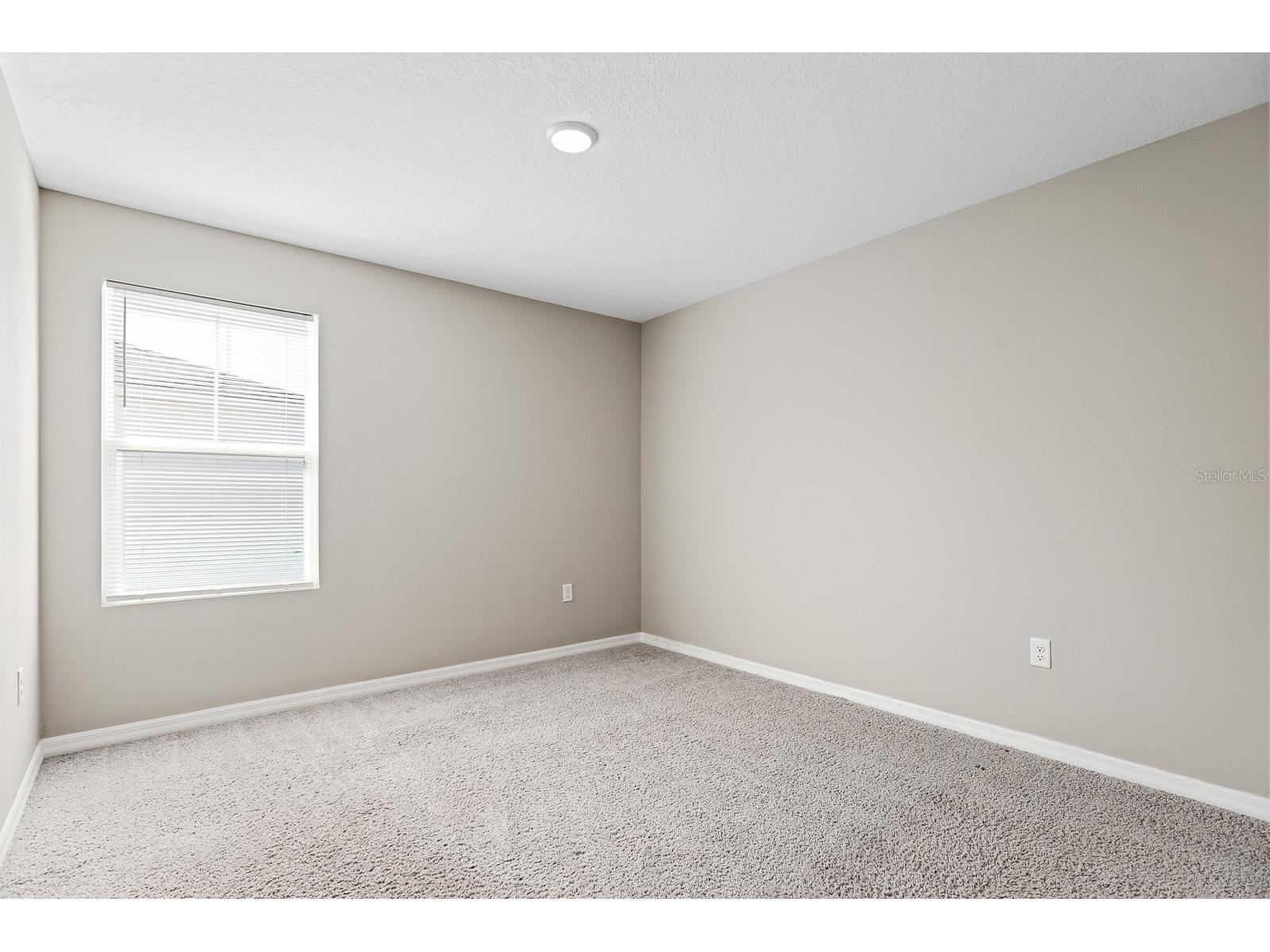 12857 Tannencrest Drive Riverview FL 33579 TB8440850 image28