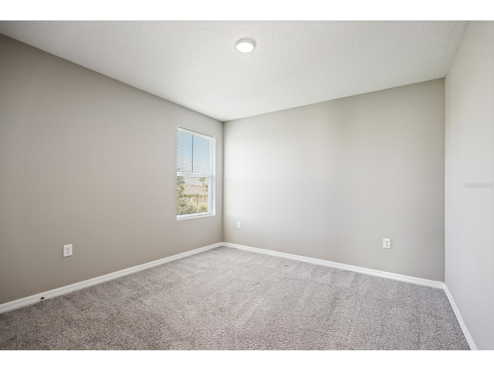 12857 Tannencrest Drive Riverview FL 33579 TB8440850 image30