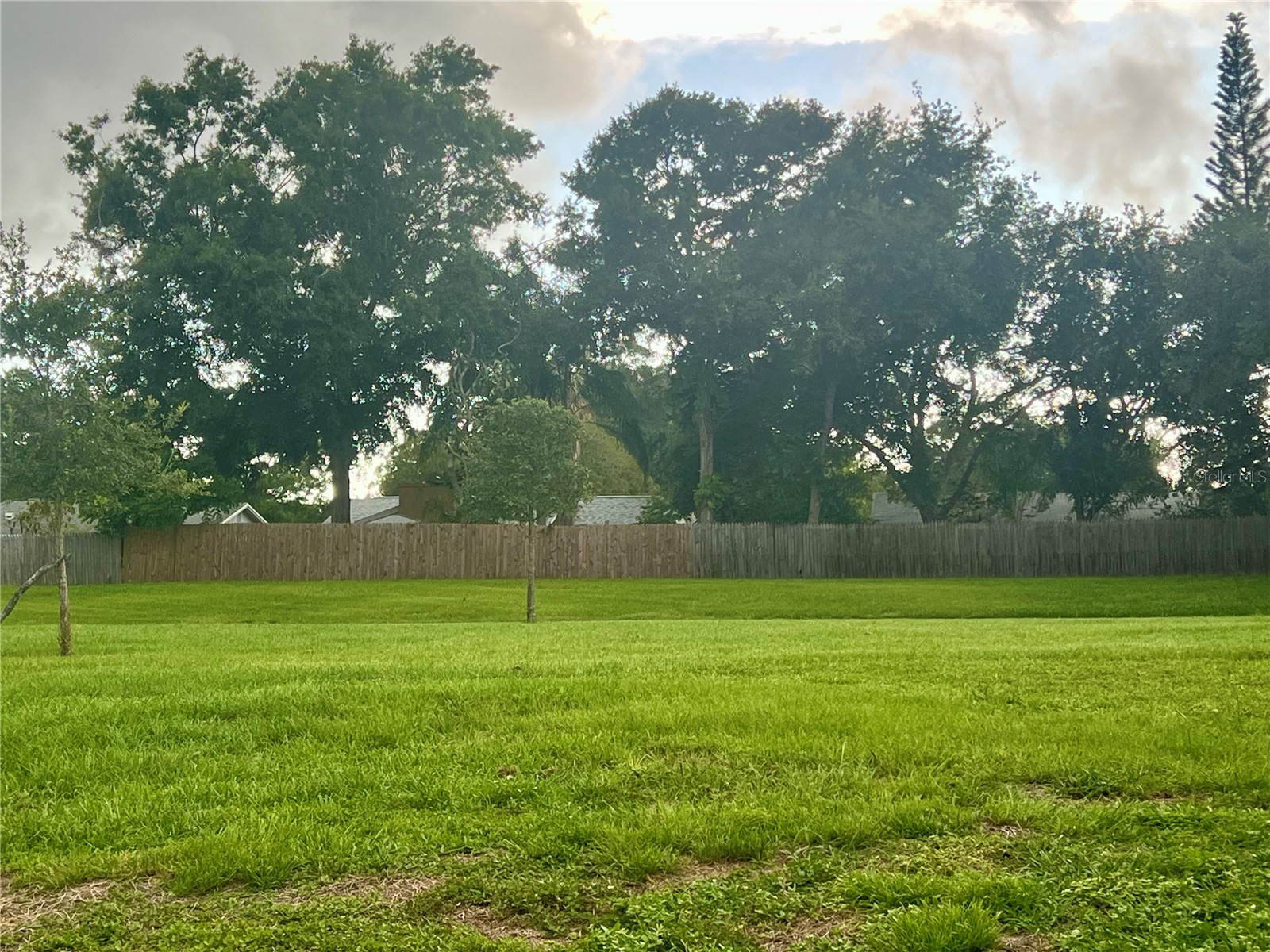 1286 Mission Hills Boulevard Clearwater FL 33759 TB8396663 image19