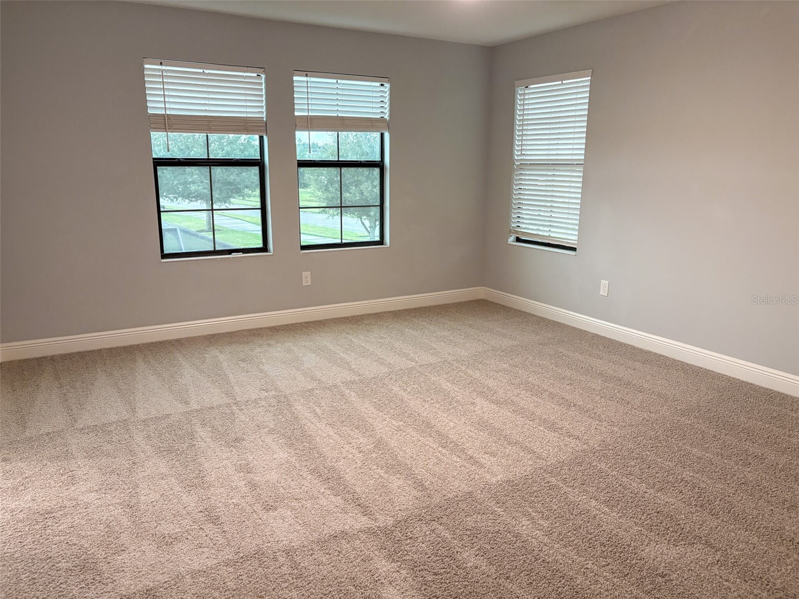 12860 Satin Lily Drive Riverview FL 33579 TB8520290 image17