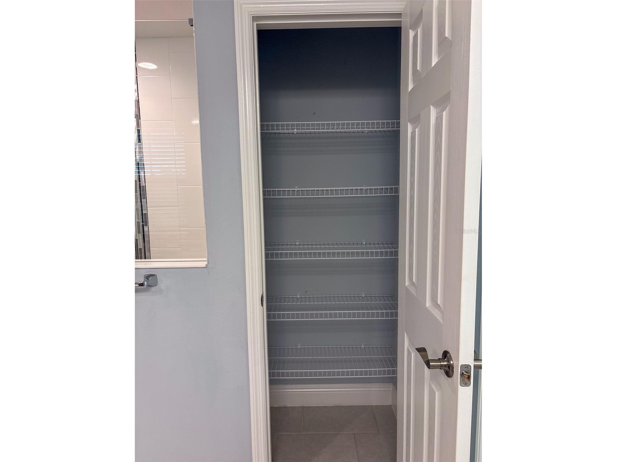 12860 Satin Lily Drive Riverview FL 33579 TB8520290 image24
