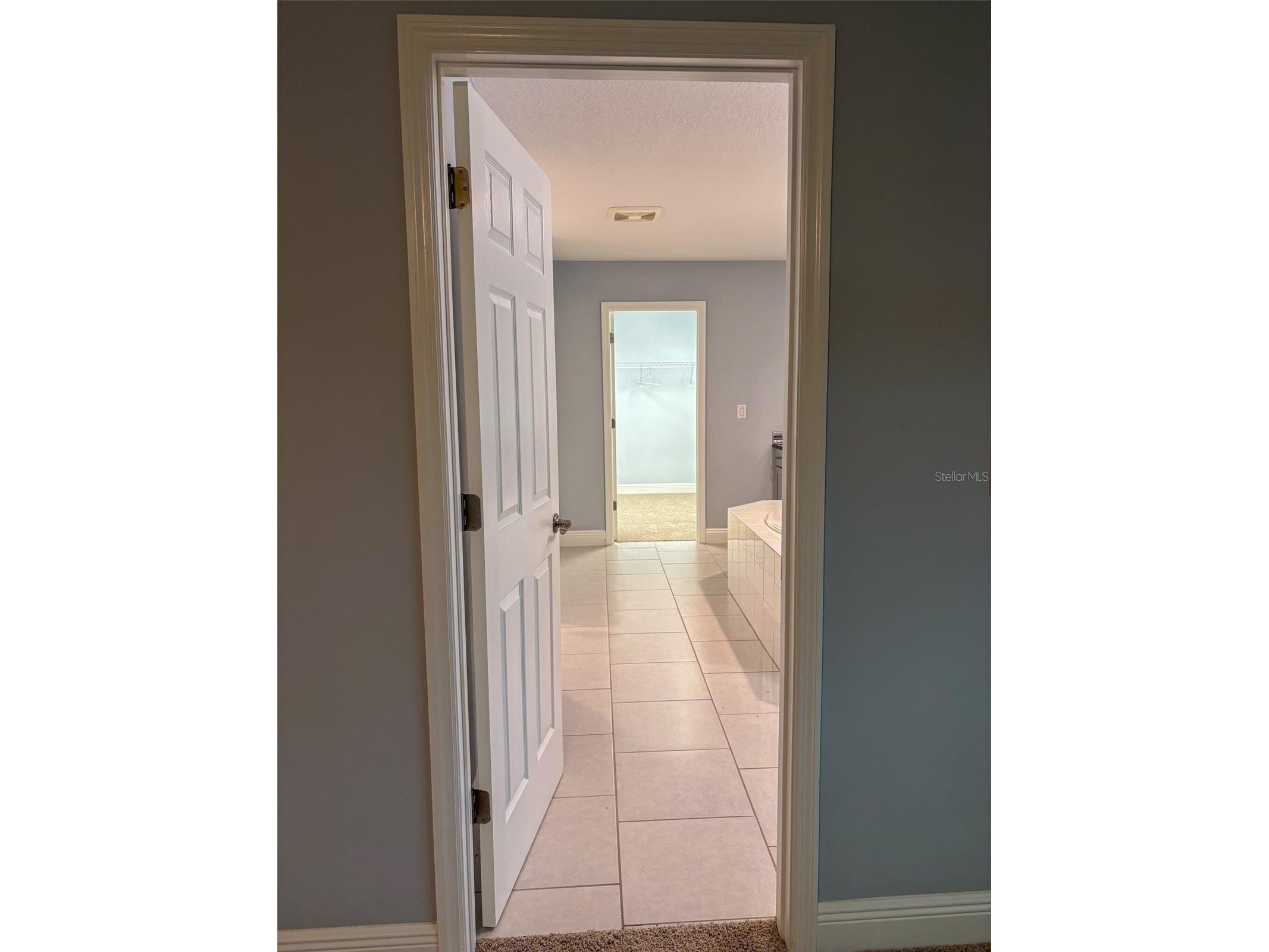 12860 Satin Lily Drive Riverview FL 33579 TB8520290 image25