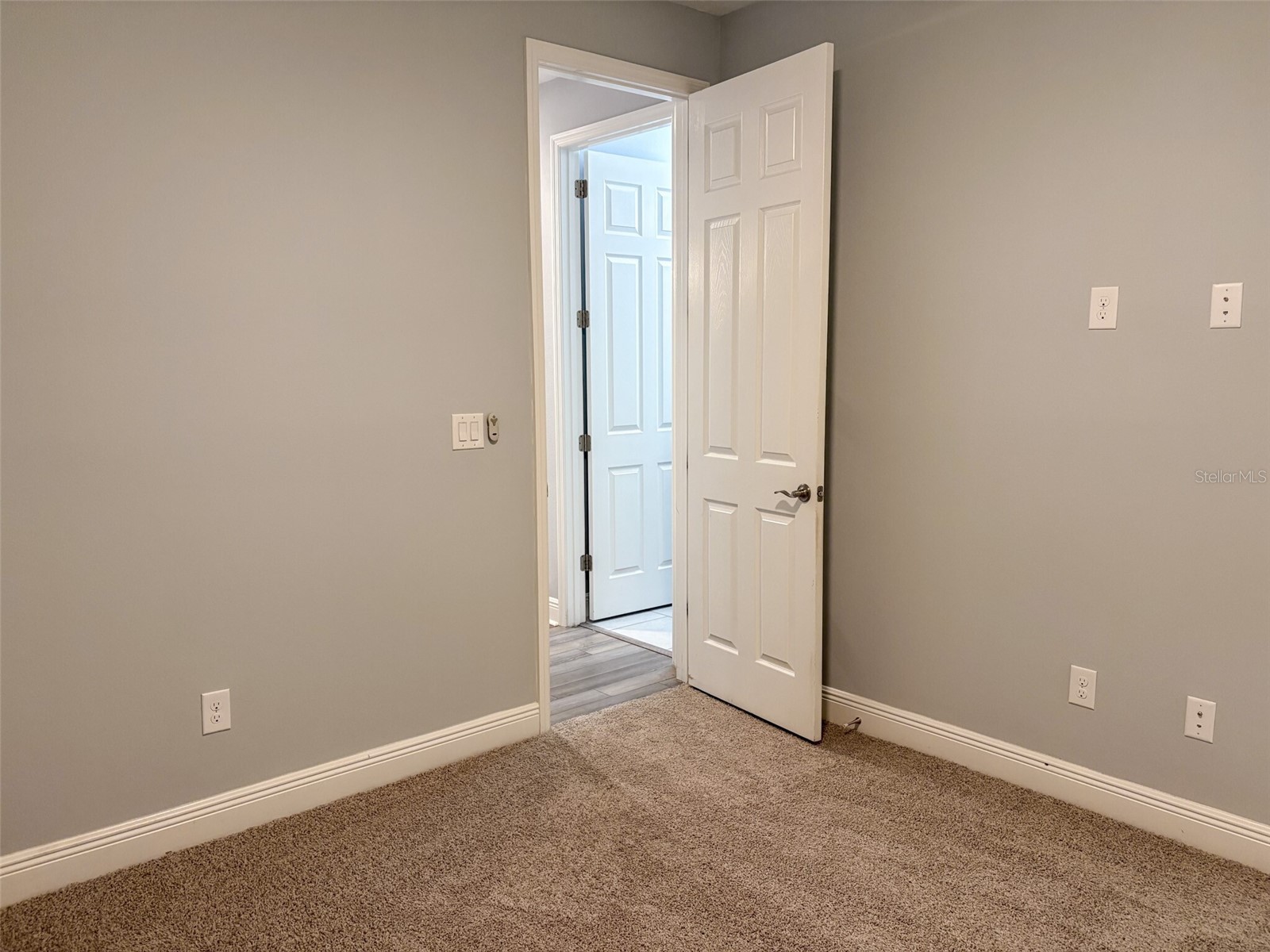 12860 Satin Lily Drive Riverview FL 33579 TB8520290 image28