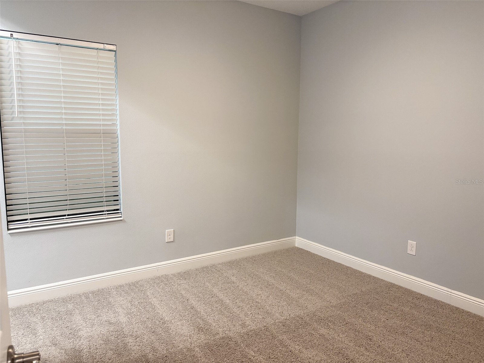12860 Satin Lily Drive Riverview FL 33579 TB8520290 image29