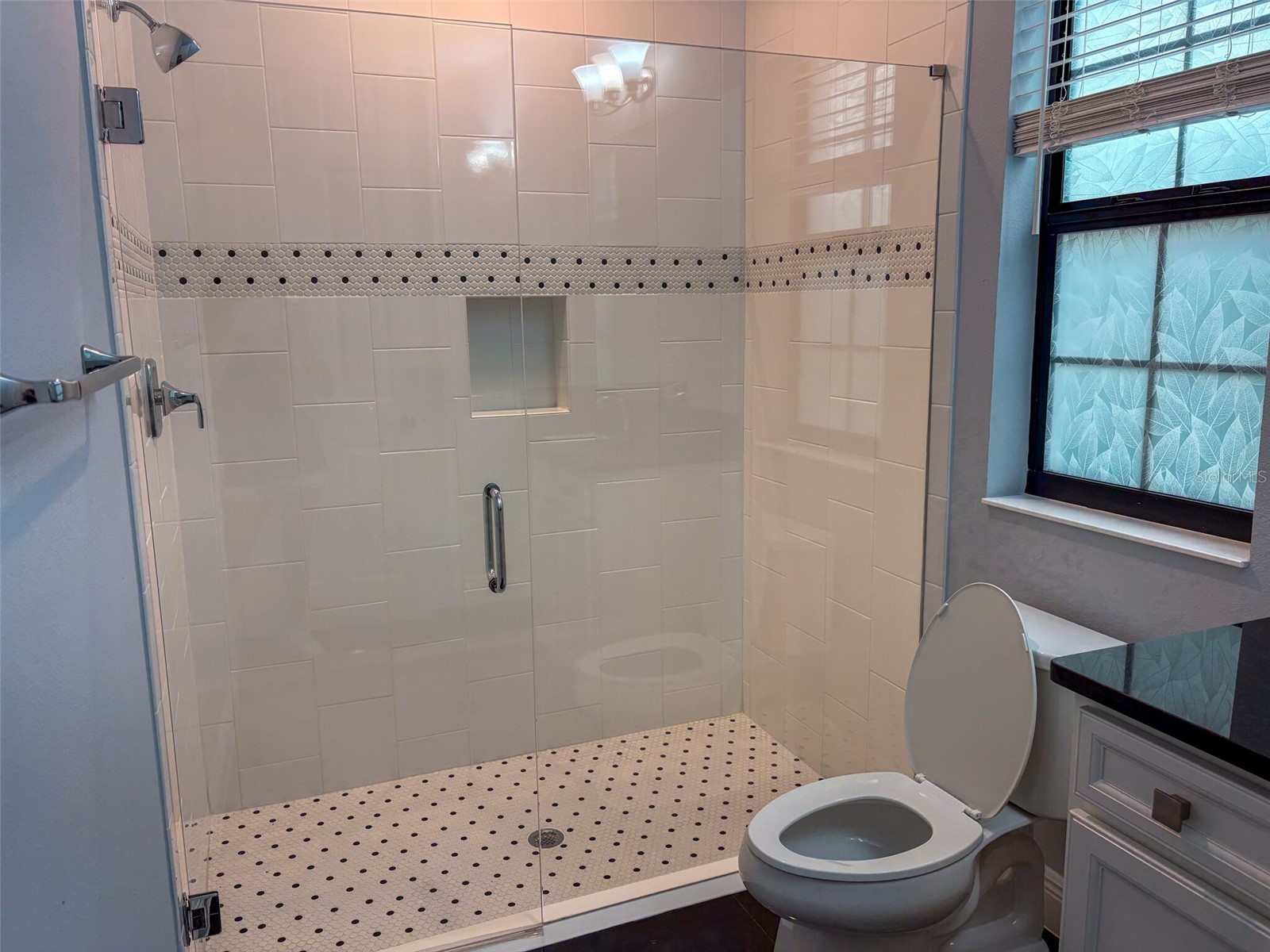 12860 Satin Lily Drive Riverview FL 33579 TB8520290 image31
