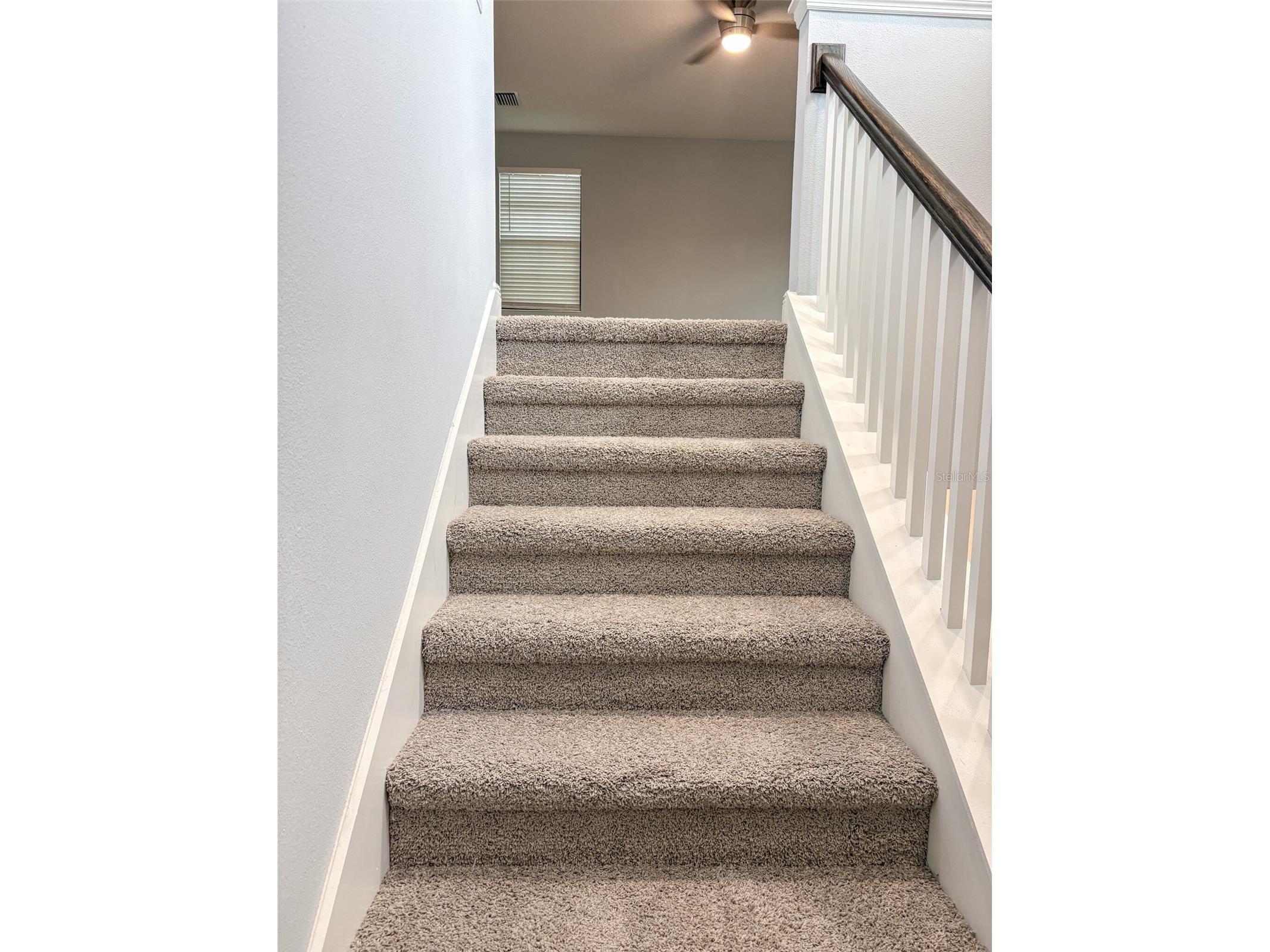 12860 Satin Lily Drive Riverview FL 33579 TB8520290 image32