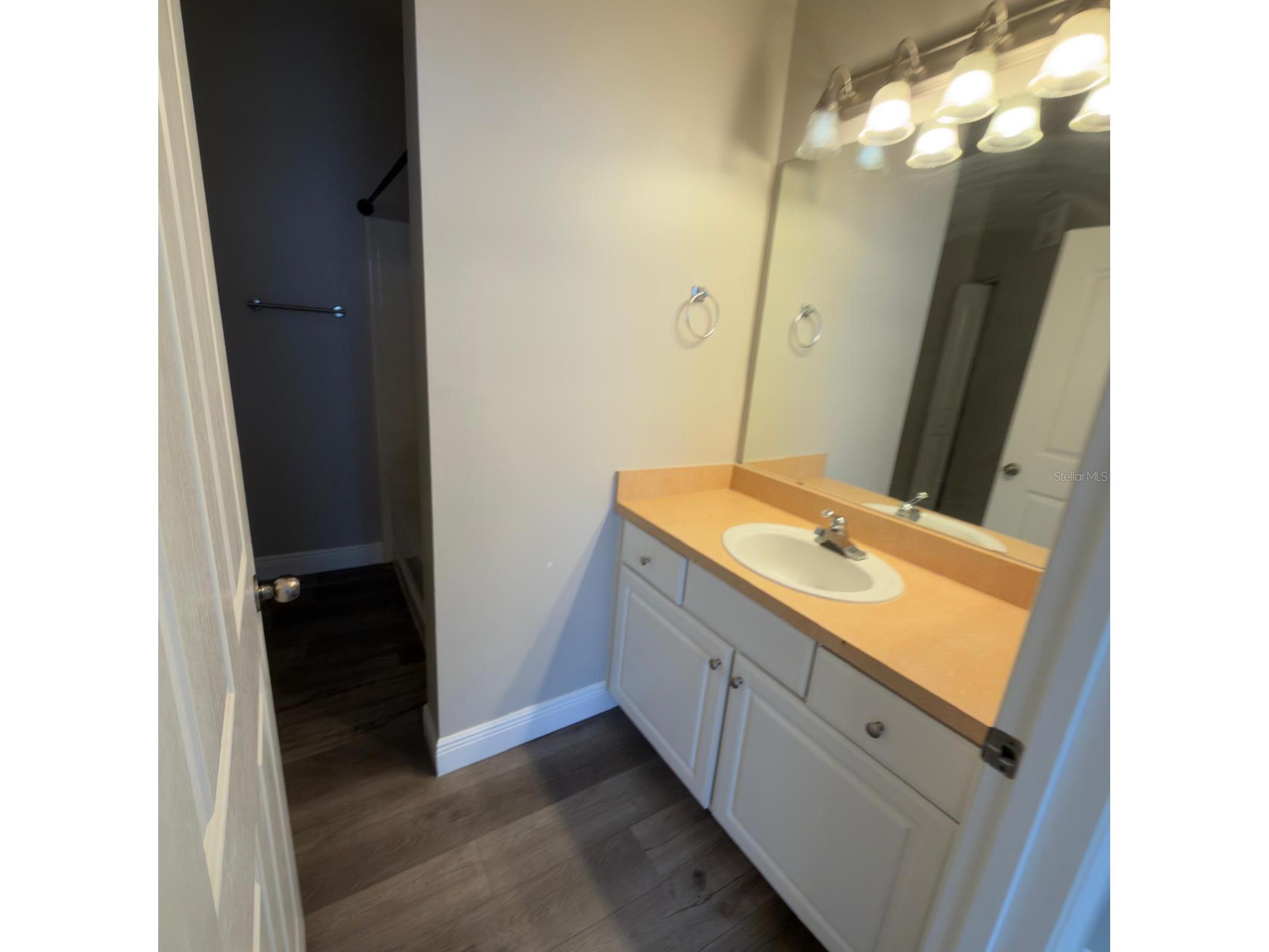 12861 Madison Pointe Circle #101 Orlando FL 32821 O6390294 image16