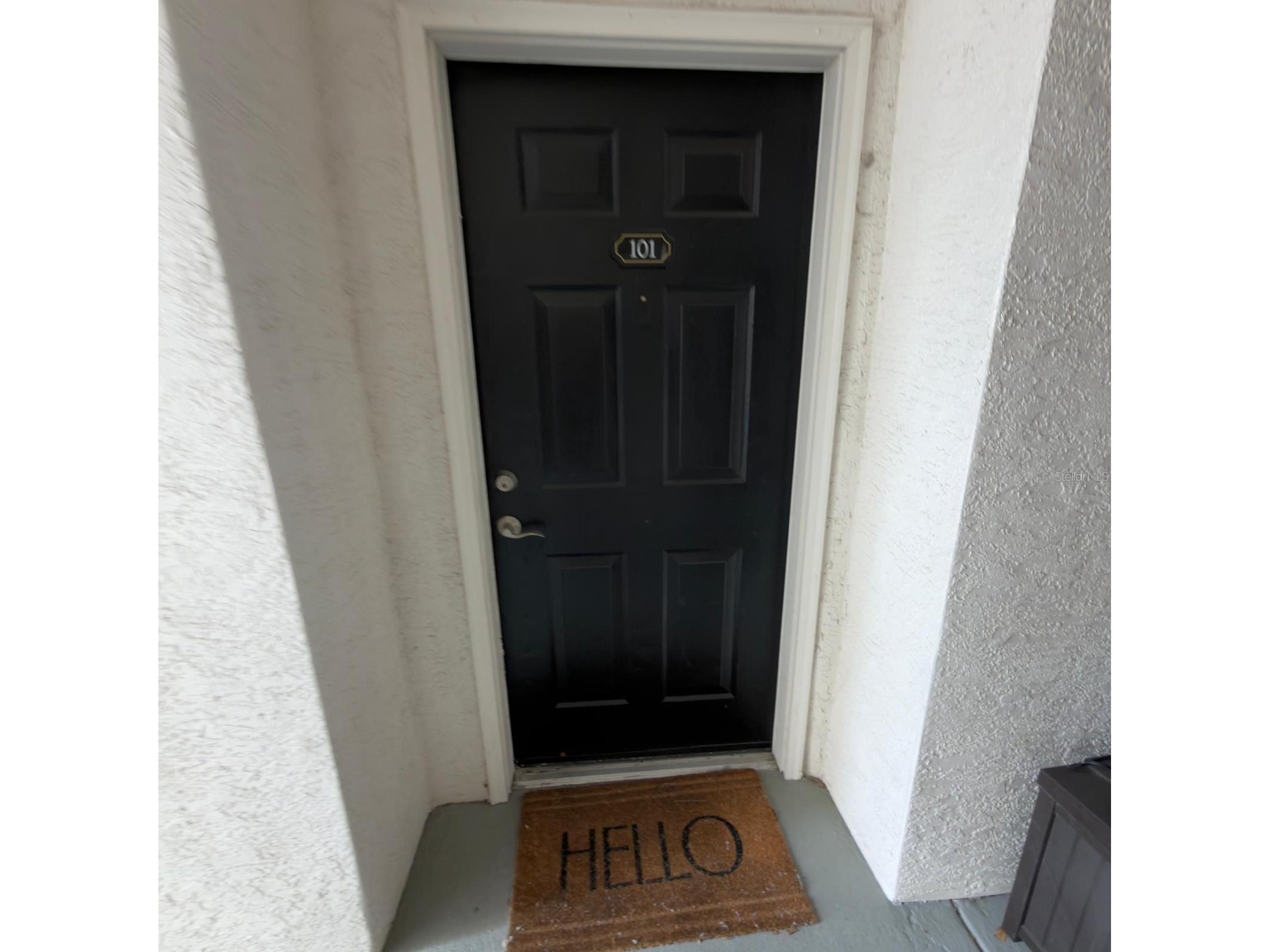 12861 Madison Pointe Circle #101 Orlando FL 32821 O6390294 image3