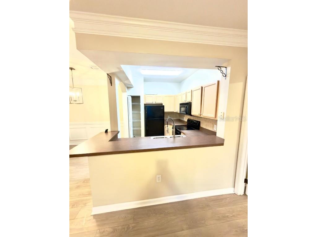 12861 Madison Pointe Circle #107 Orlando FL 32821 O6354898 image11