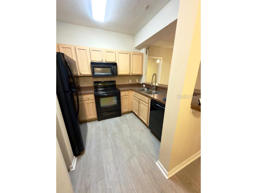 12861 Madison Pointe Circle #107 Orlando FL 32821 O6354898 image5