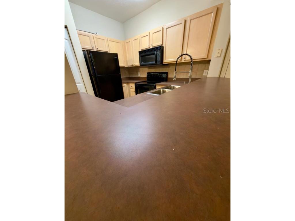 12861 Madison Pointe Circle #107 Orlando FL 32821 O6354898 image8