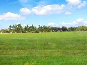 12863 Holdenbury Lane Windermere FL 34786 O6393781 image18