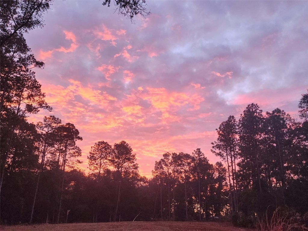 12864 SW 41st Place Ocala FL 34481 O6327742 image1