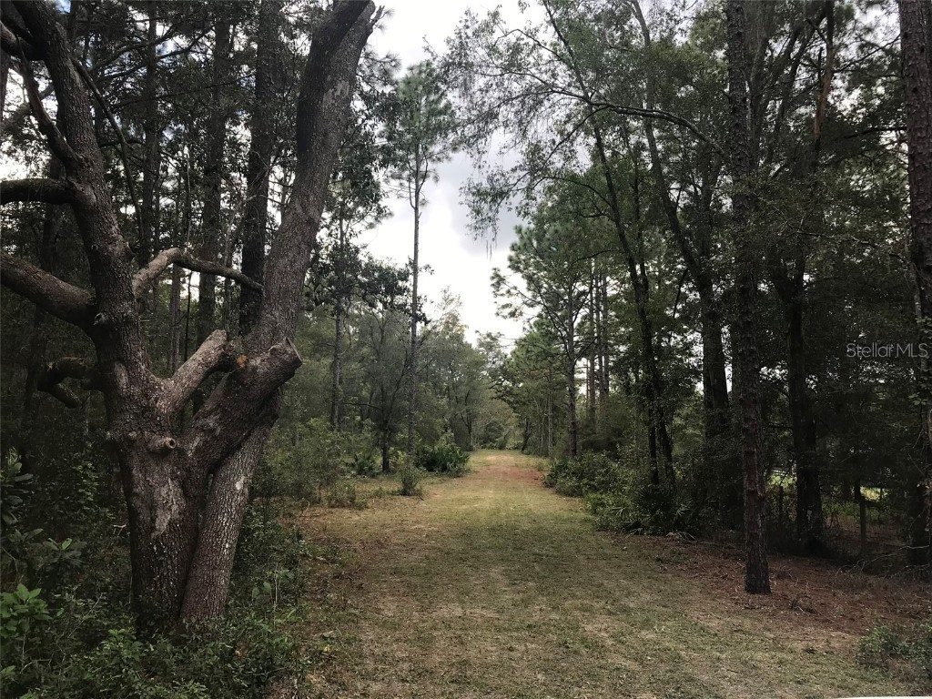 12864 SW 41st Place Ocala FL 34481 O6327742 image12