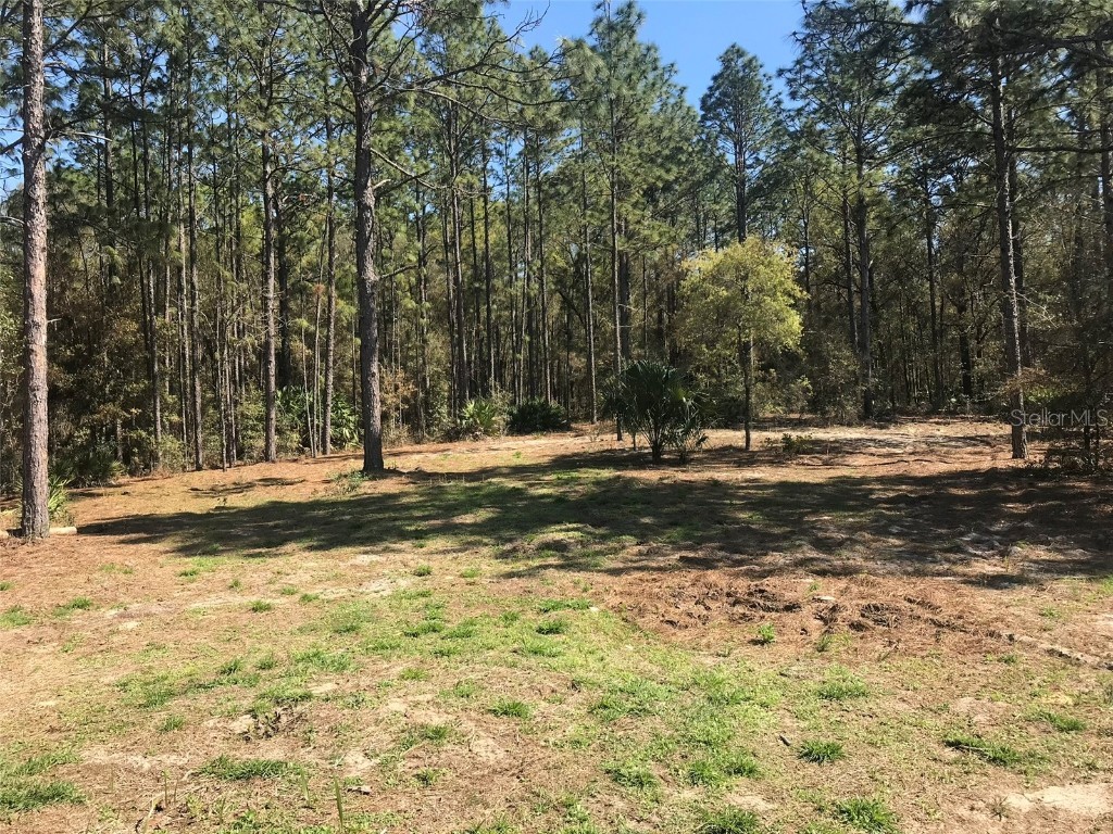 12864 SW 41st Place Ocala FL 34481 O6327742 image13