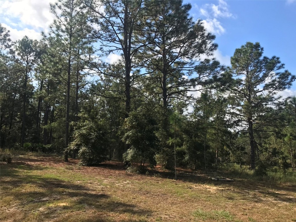 12864 SW 41st Place Ocala FL 34481 O6327742 image16