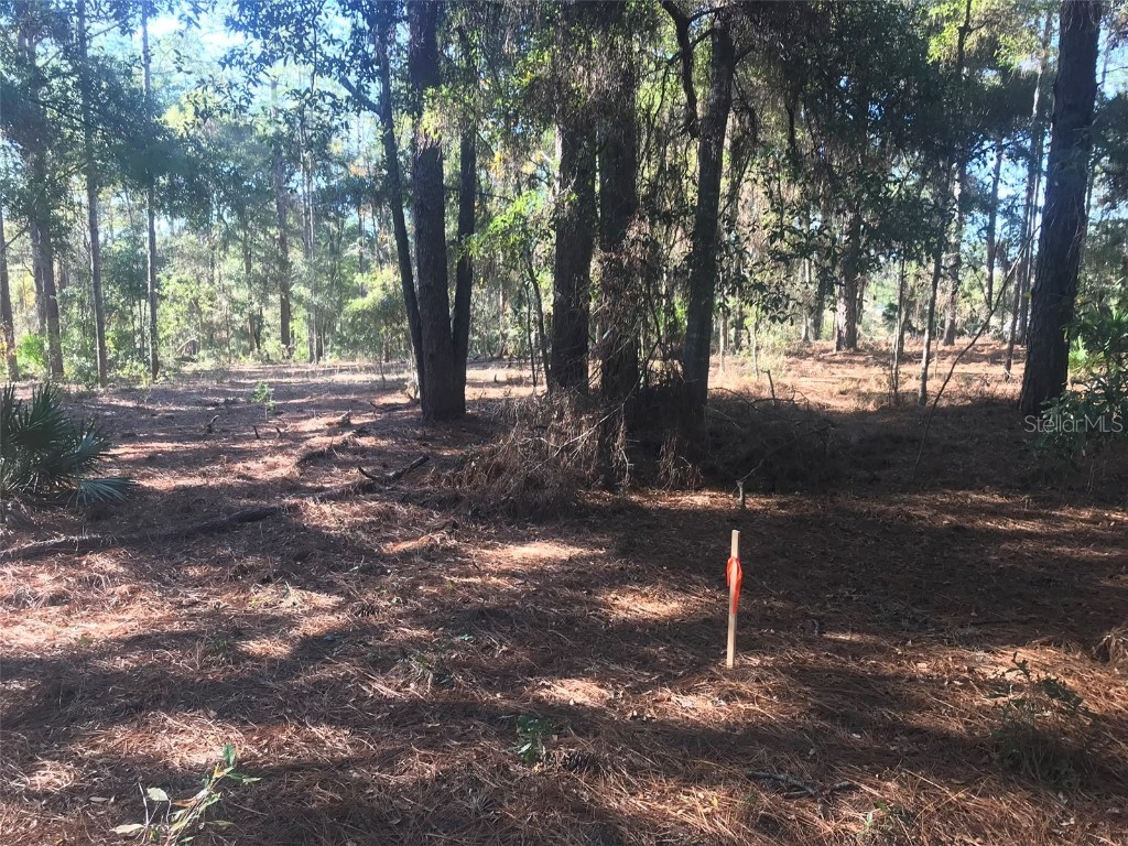 12864 SW 41st Place Ocala FL 34481 O6327742 image18