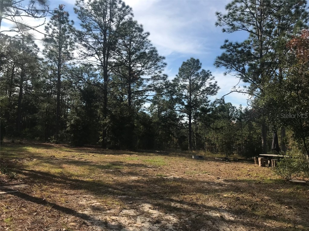 12864 SW 41st Place Ocala FL 34481 O6327742 image19