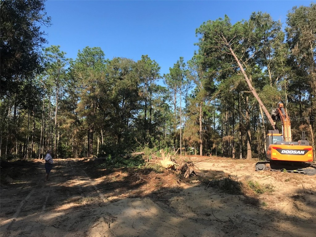 12864 SW 41st Place Ocala FL 34481 O6327742 image20