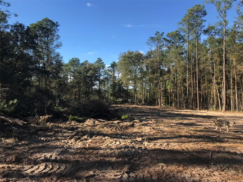 12864 SW 41st Place Ocala FL 34481 O6327742 image21