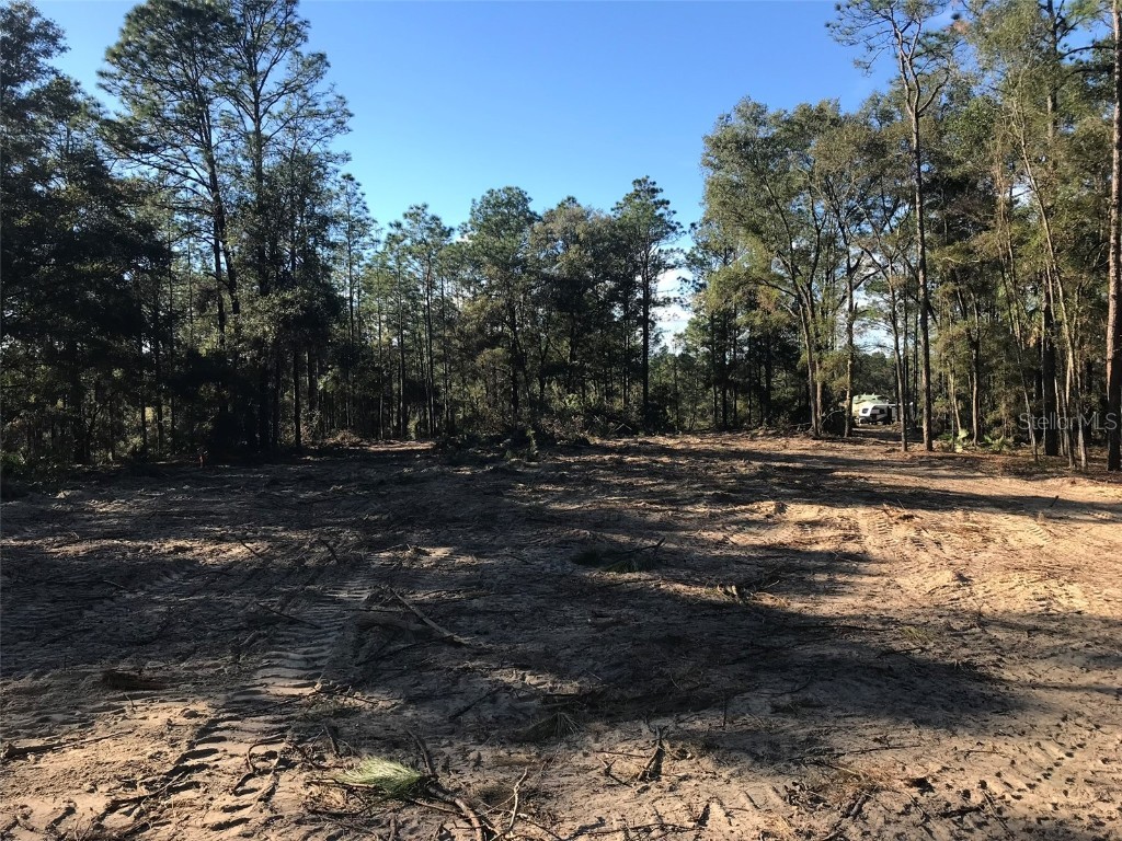 12864 SW 41st Place Ocala FL 34481 O6327742 image22