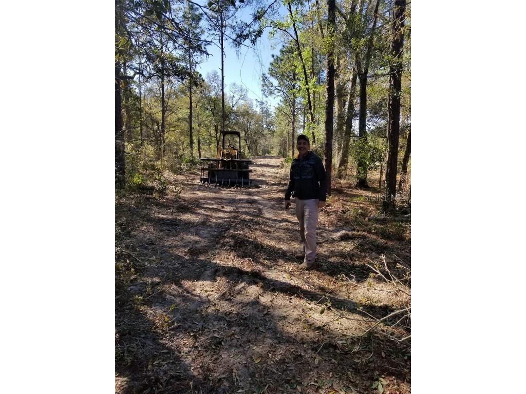 12864 SW 41st Place Ocala FL 34481 O6327742 image4