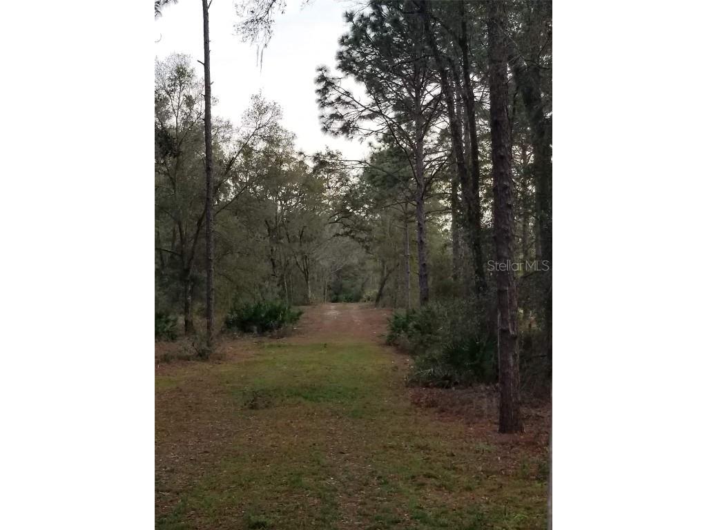 12864 SW 41st Place Ocala FL 34481 O6327742 image6