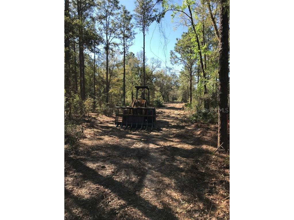 12864 SW 41st Place Ocala FL 34481 O6327742 image7