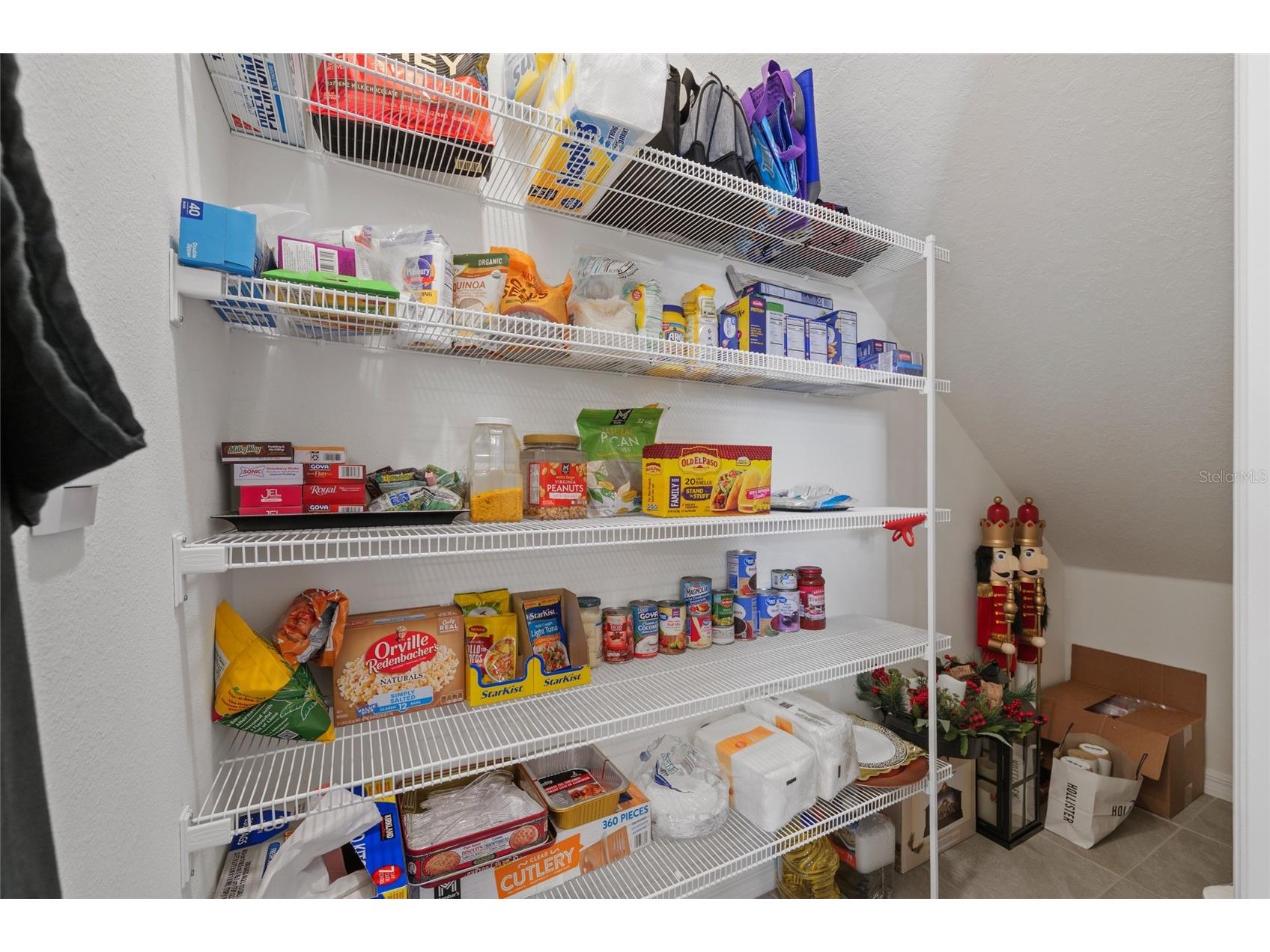 1287 Colt Creek Place Wesley Chapel FL 33543 TB8486438 image9