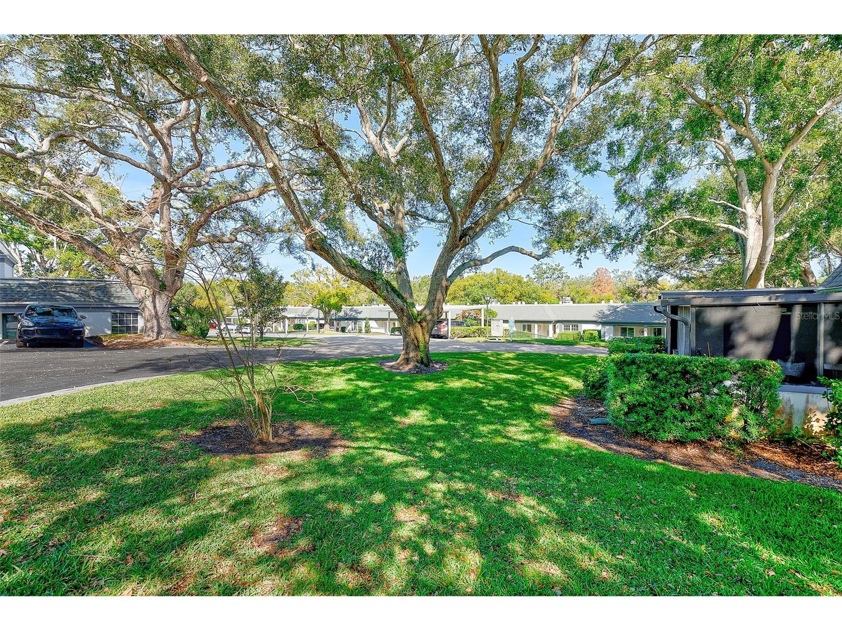 1287 N Mcmullen Booth Road Clearwater FL 33759 TB8487146 image25