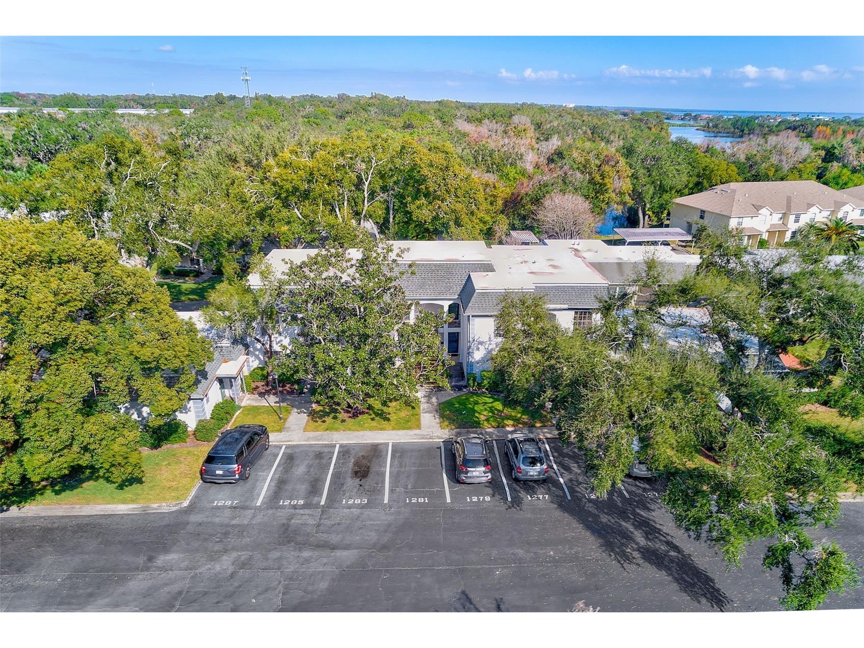 1287 N Mcmullen Booth Road Clearwater FL 33759 TB8487146 image30