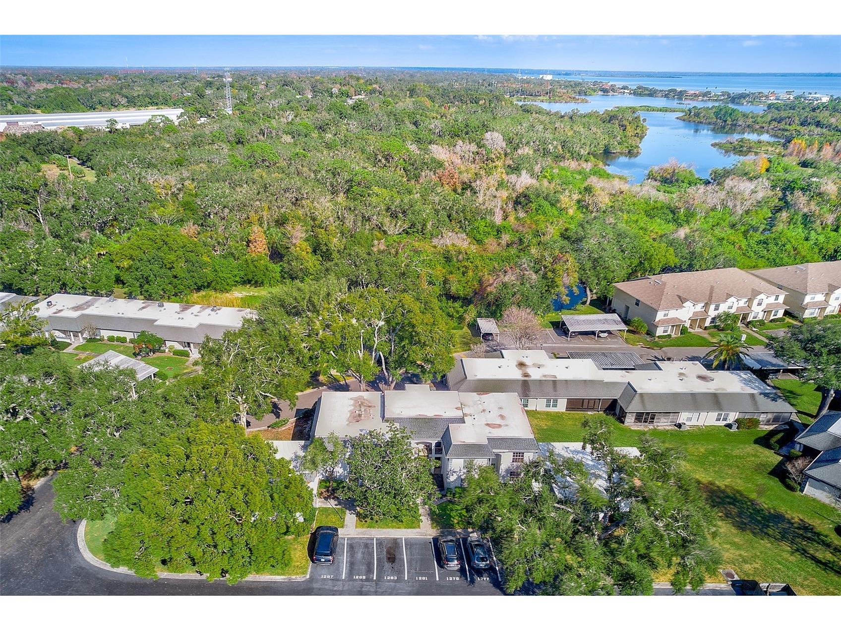 1287 N Mcmullen Booth Road Clearwater FL 33759 TB8487146 image31