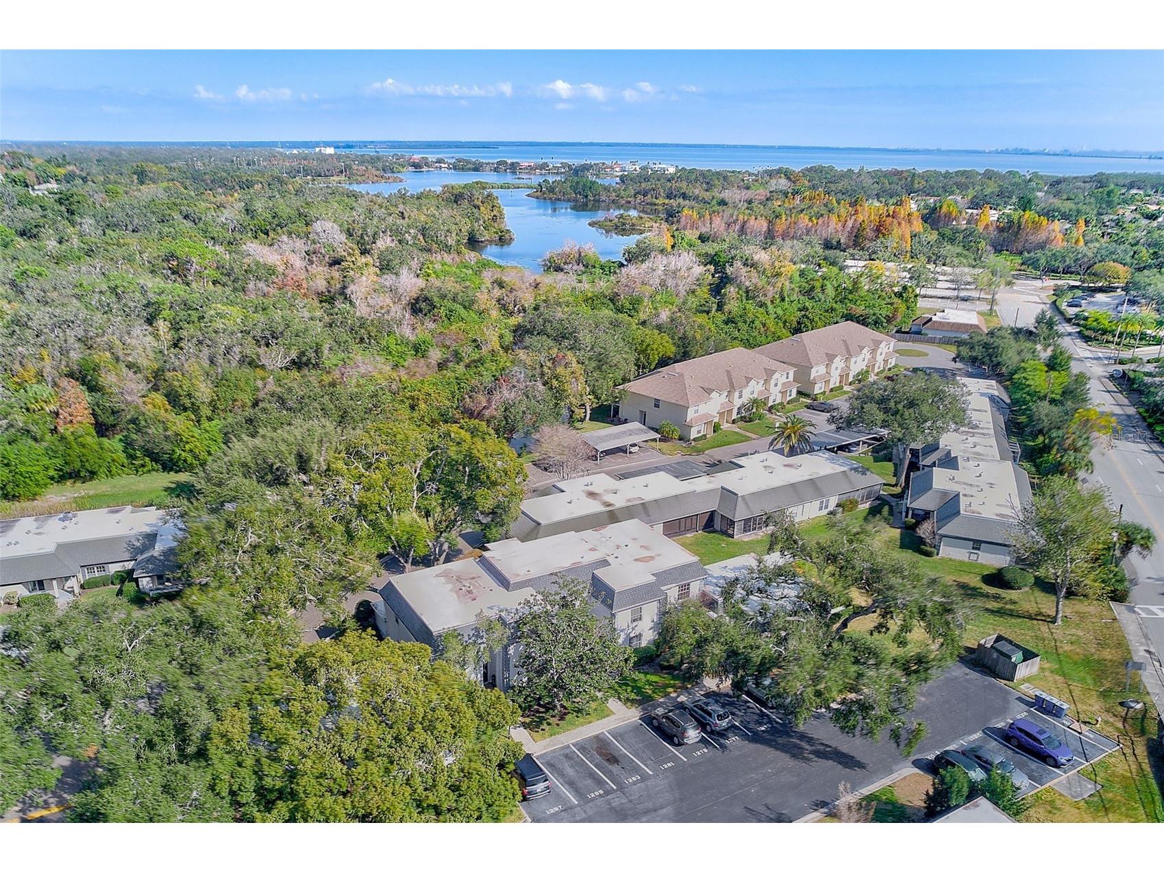 1287 N Mcmullen Booth Road Clearwater FL 33759 TB8487146 image33